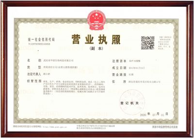 Business License